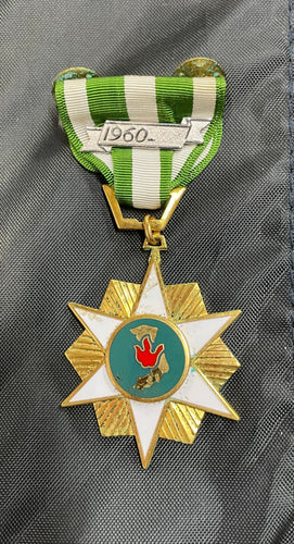 FRONT VIEW OF VIETNAM MEDAL