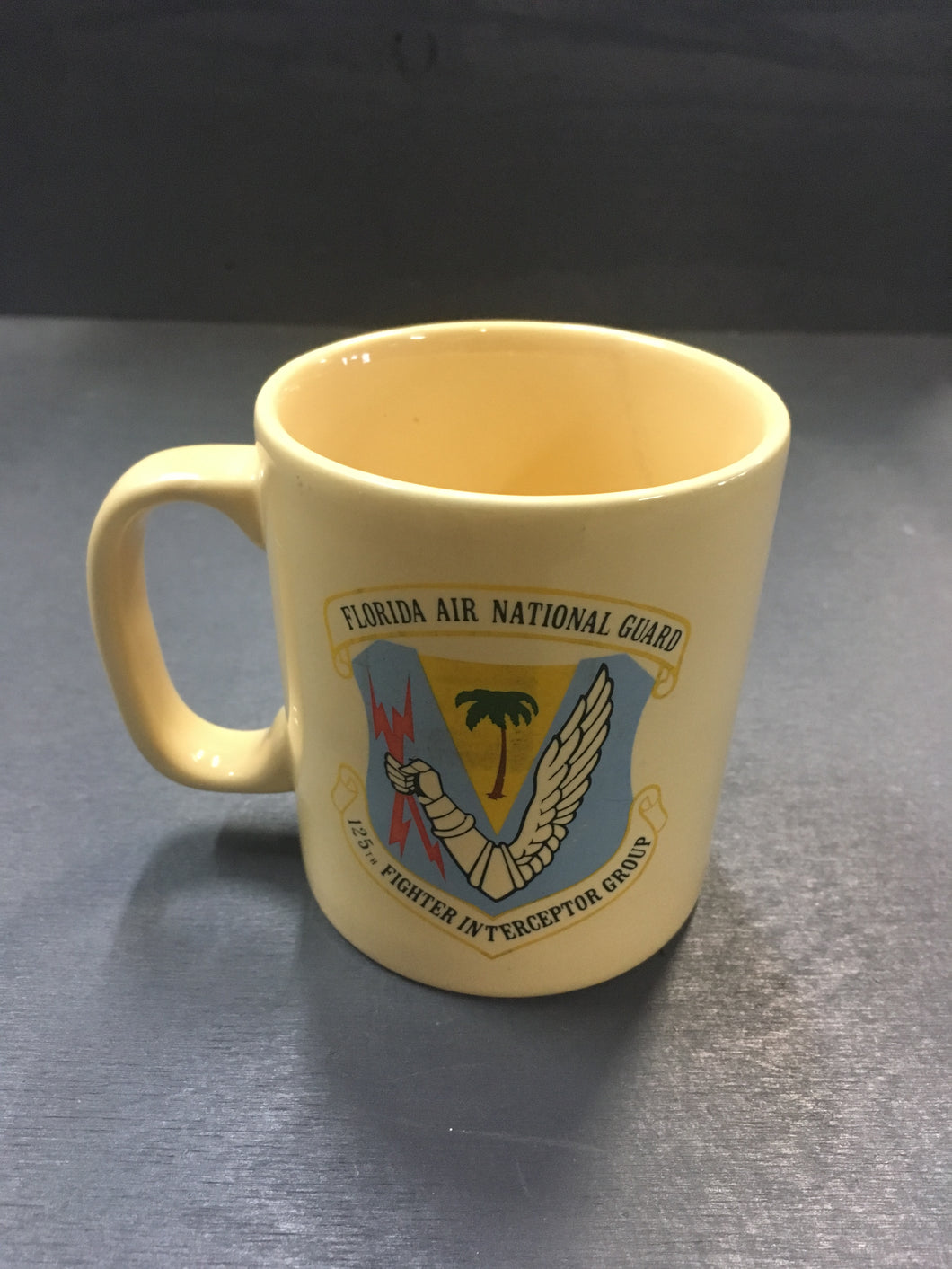Florida Air National Guard Mug, Jacksonville F-16 Flang, 125th Fighter, Interceptor Group, Collectible, Militaria, Coffee